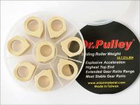 Dr.Pulley Sliding roll SR2519/8-18