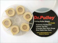 Dr.Pulley Sliding roll SR2522/6-16